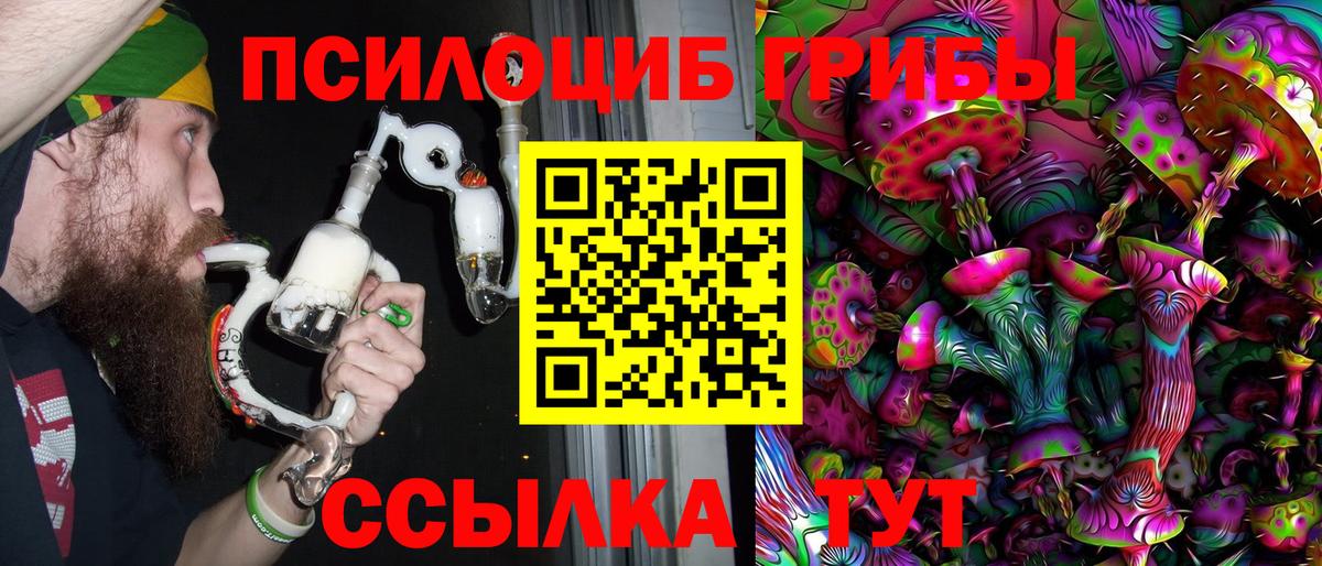 Псилоцибиновые грибы мицелий  Псилоцибиновые грибы Psilocybine cubensis  Вход с VPN  Кемерово 