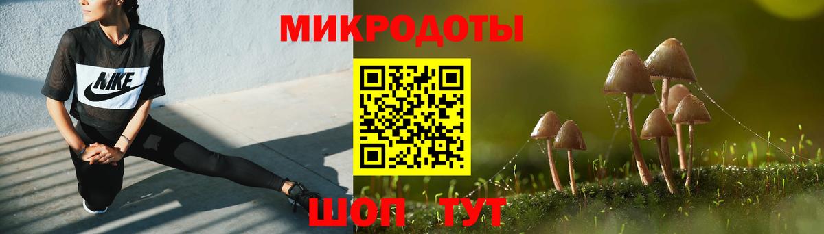 Псилоцибиновые грибы прущие грибы Кемерово